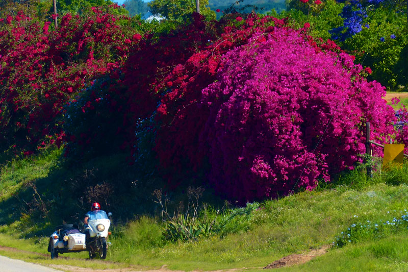 South Africa